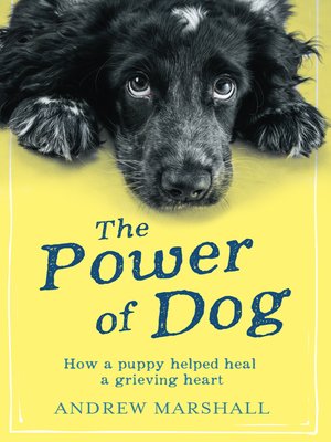 cover image of The Power of Dog